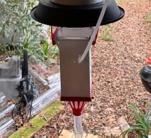 midges-mosquito trap